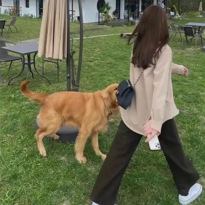 勇敢者游戏